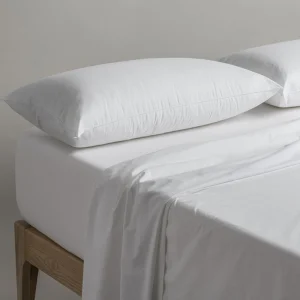 Almohada Acarsan